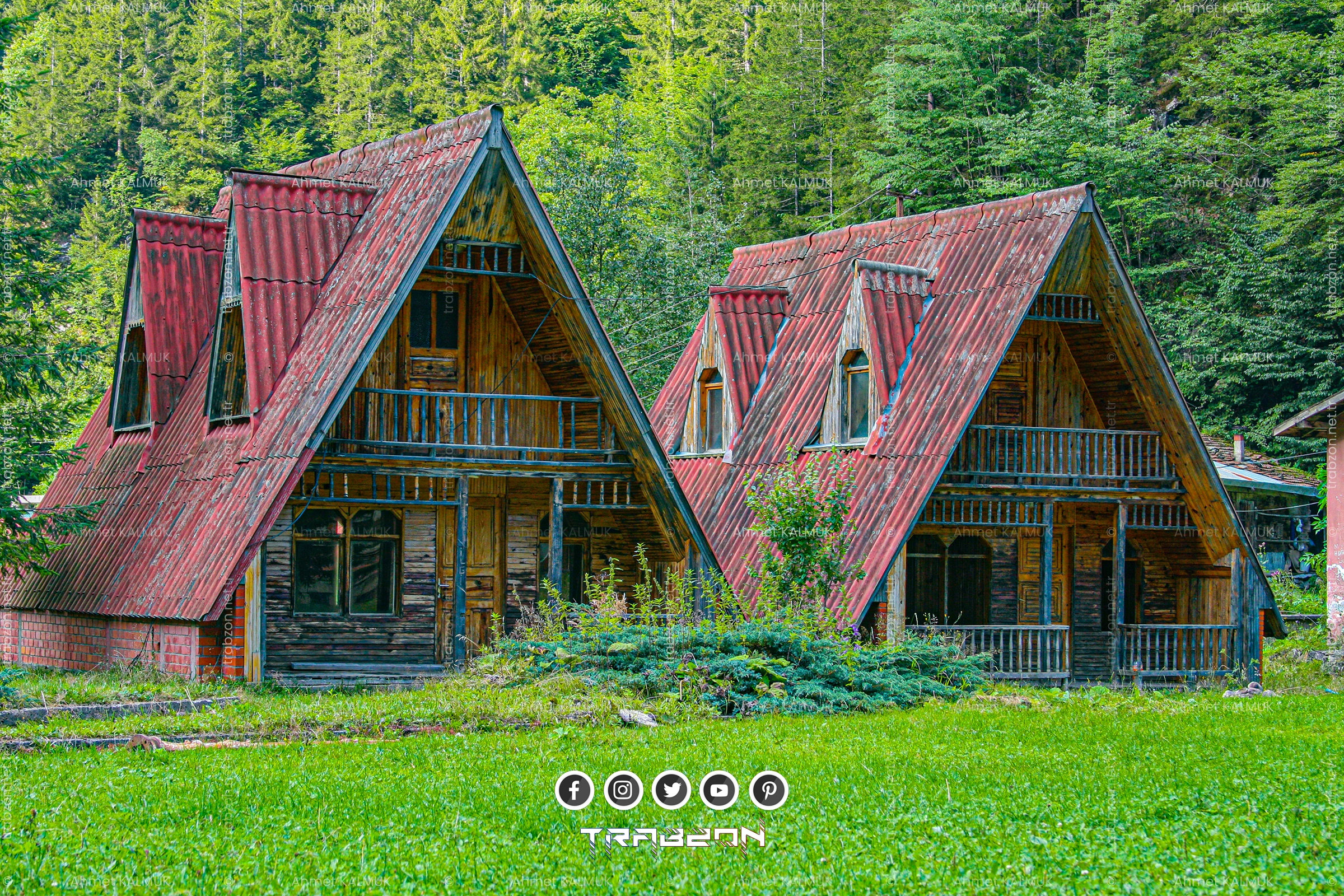 Uzungöl Bungalov Evler