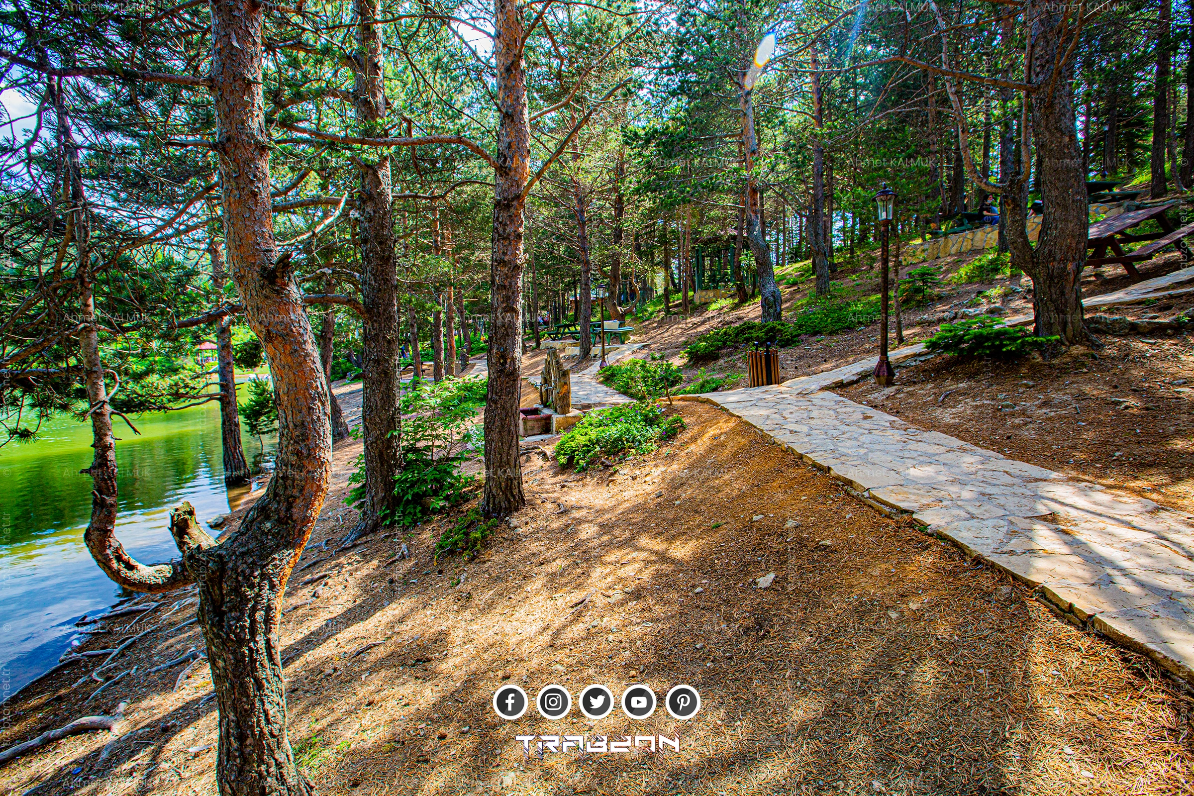 Limni Gölü Piknik Alanı