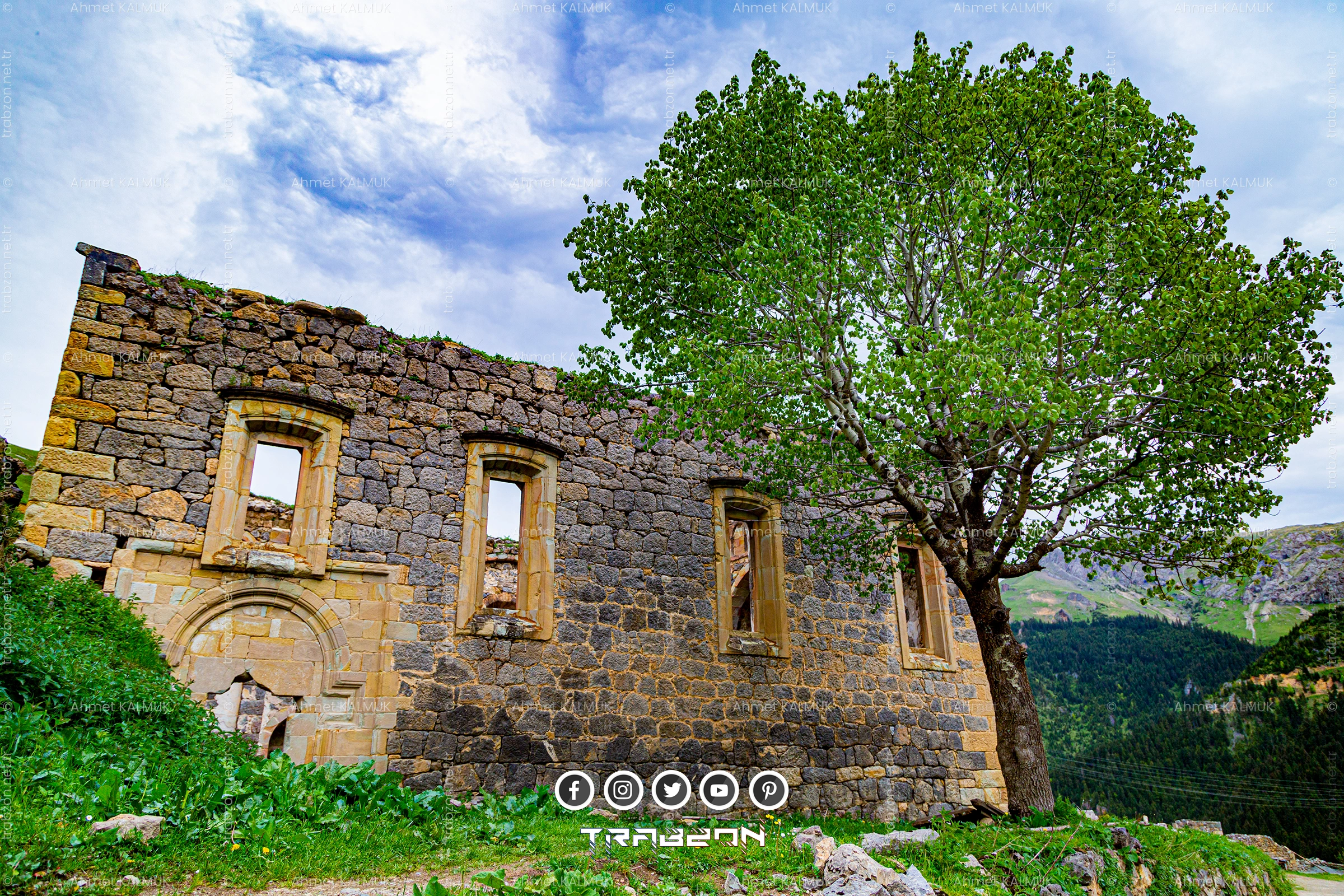 Santa Harabeleri - Eski Kilise ve Ağaç